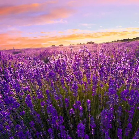 With Pool In Siofok-balaton 54764 Шиофок