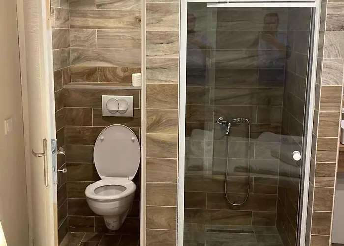 With Pool In Siofok-balaton 54764 * 希欧福克