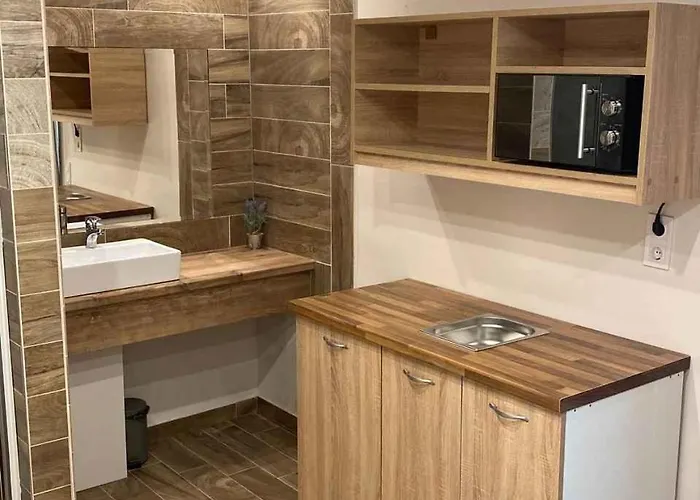 With Pool In Siofok-balaton 54764 希欧福克