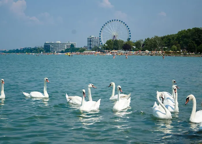 With Pool In Siofok-balaton 54764 公寓