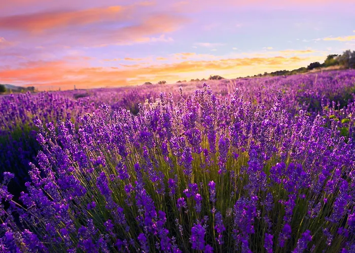 With Pool In Siofok-balaton 54764 Шиофок